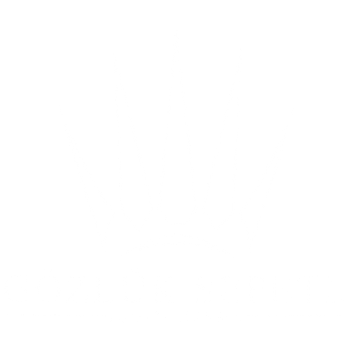 Gözlük Sepeti